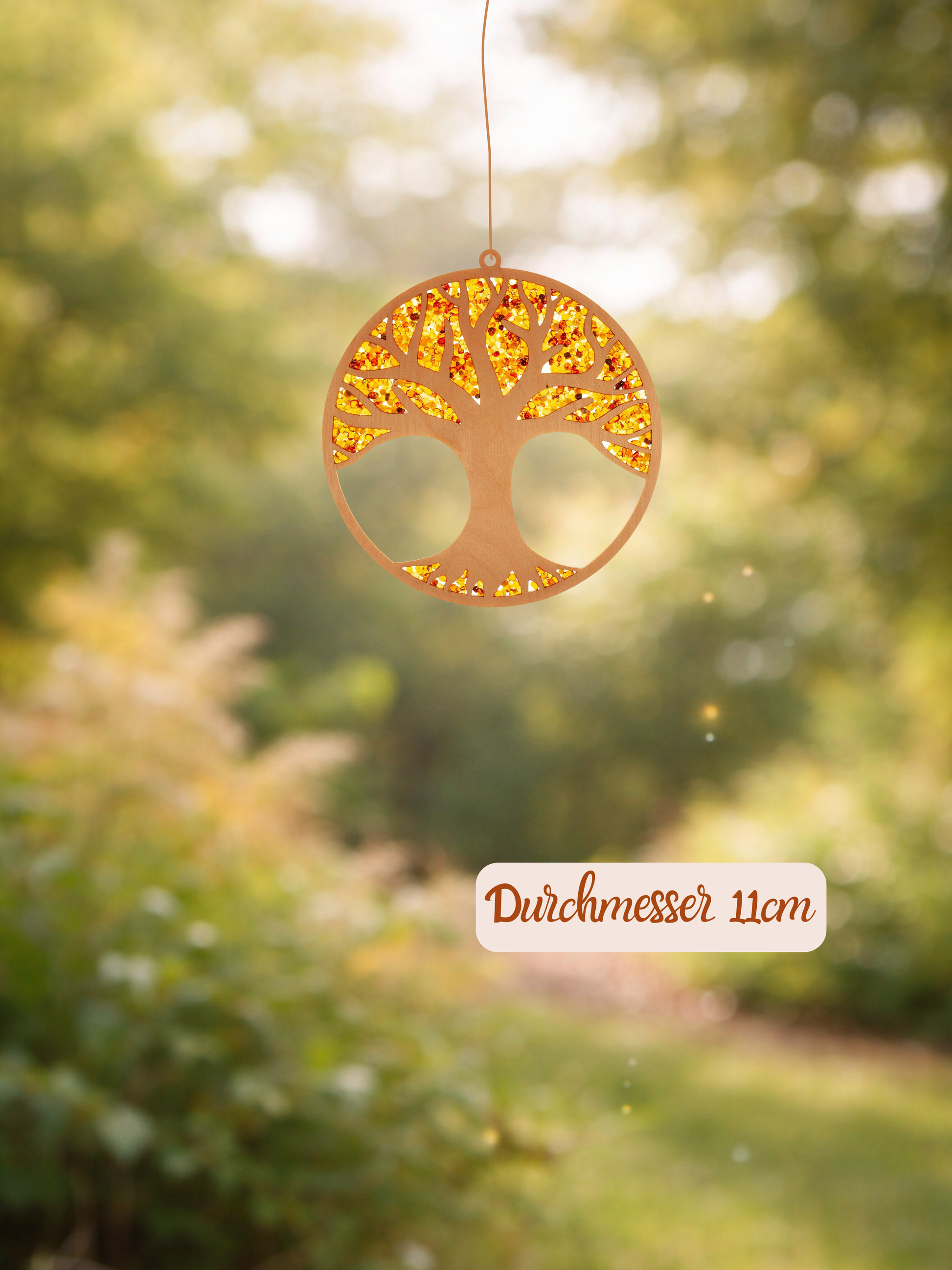 Suncatcher aus echtem Bernstein in Birkenholz mit Magneten und Öse, 11 cm Durchmesser, leuchtend im Sonnenlicht