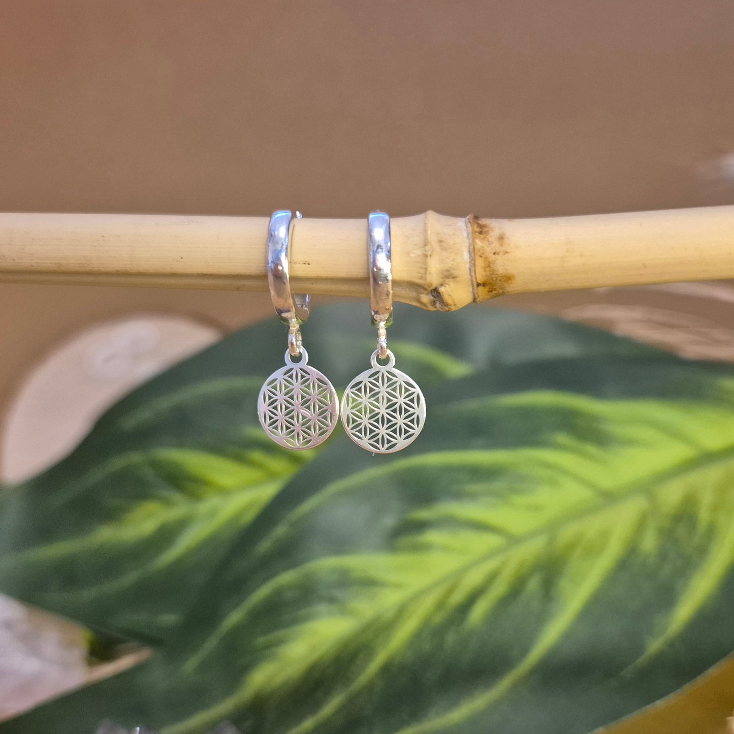 Klassische Lebensblume Creolen Ohrringe aus hochwertigem Sterlingsilber in Silber, wasserfester Schmuck für Damen.